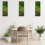 yersiz Large Moss Pattern Wall Art, Real Moss Wall Art for Living Room & Bedroom, Set of 2 Vintage Wall Panels for Interior Wall Decor, Bathroom & Home Decor, Eco-Friendly Natural Green Wall Decor