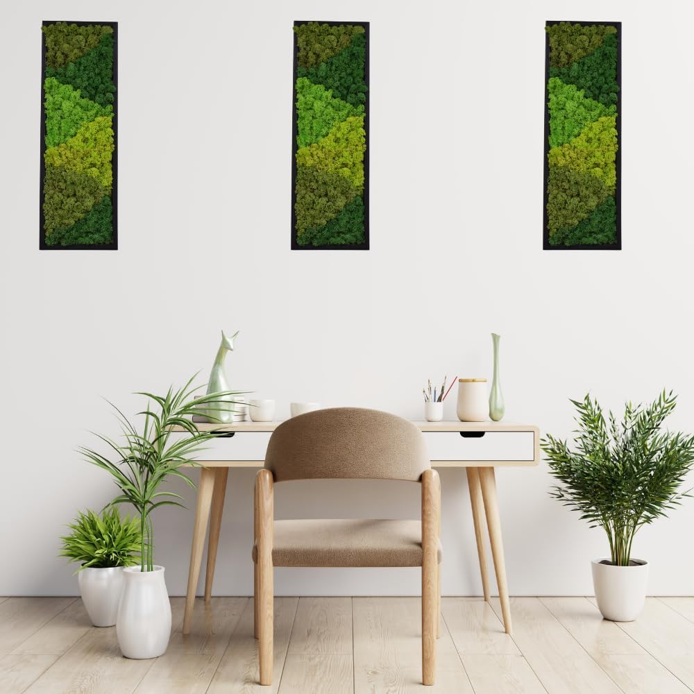 yersiz Large Moss Pattern Wall Art, Real Moss Wall Art for Living Room & Bedroom, Set of 2 Vintage Wall Panels for Interior Wall Decor, Bathroom & Home Decor, Eco-Friendly Natural Green Wall Decor