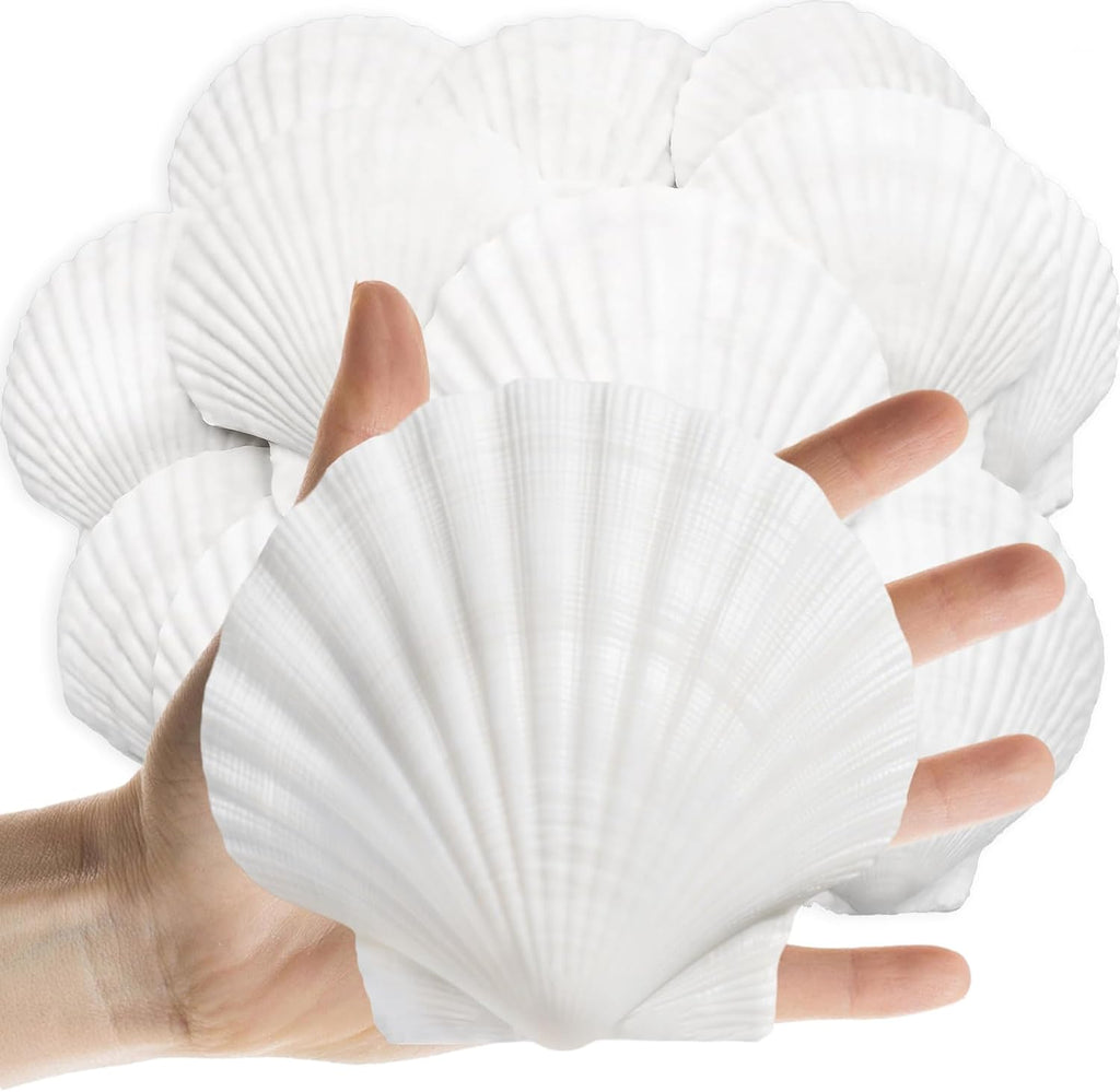 Lanwexy 16PCS Sea Shells Scallop Shells Natural White Sea Shells for DIY Craft Crafting,Painting,Baking,Home Decor and Beaching Wedding Decoration (10-12CM) Seashells Bulk