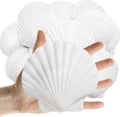 Lanwexy 16PCS Sea Shells Scallop Shells Natural White Sea Shells for DIY Craft Crafting,Painting,Baking,Home Decor and Beaching Wedding Decoration (10-12CM) Seashells Bulk