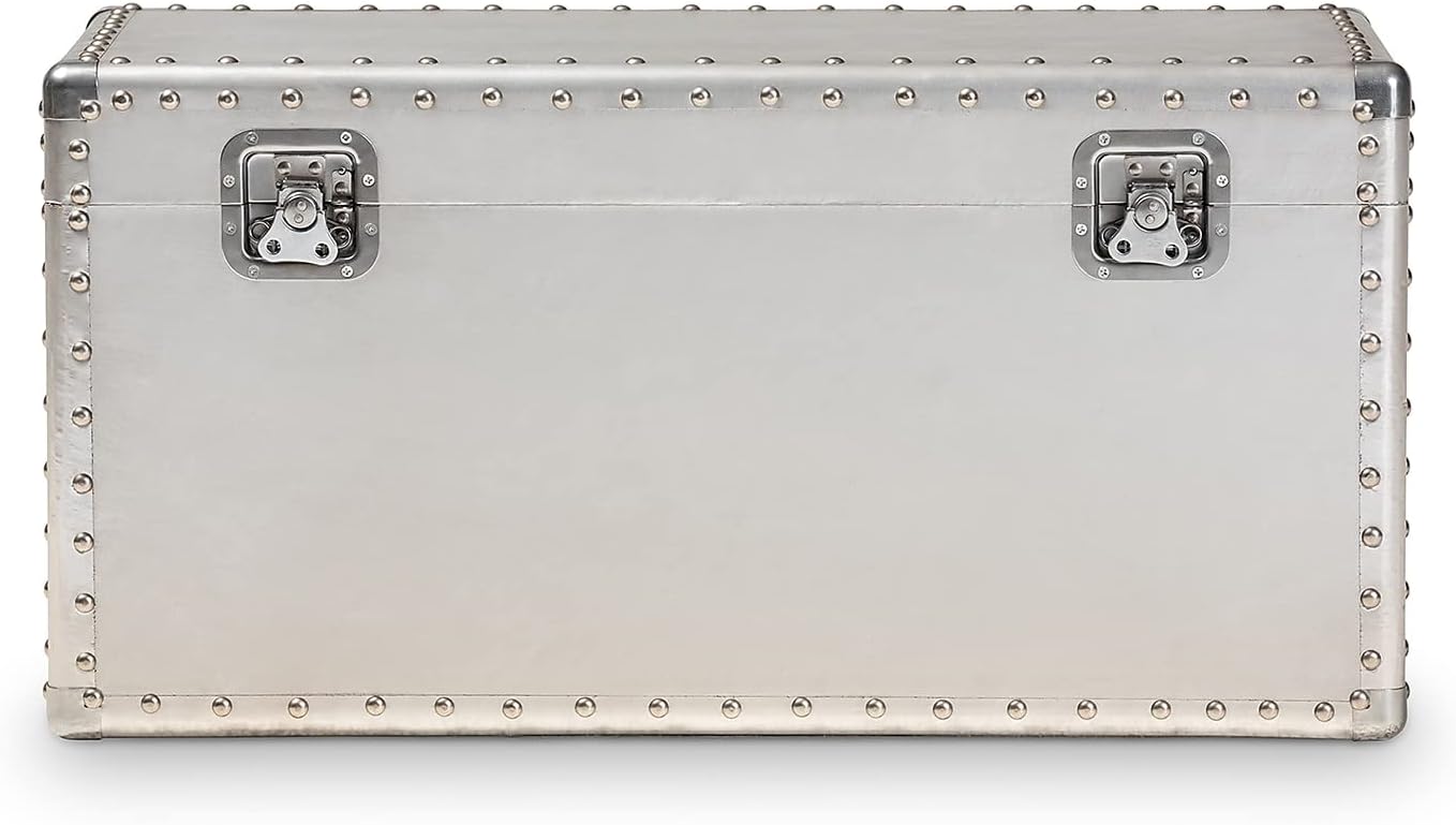 Baxton Studio Serge 13.98-inch High Storage Trunk, Silver