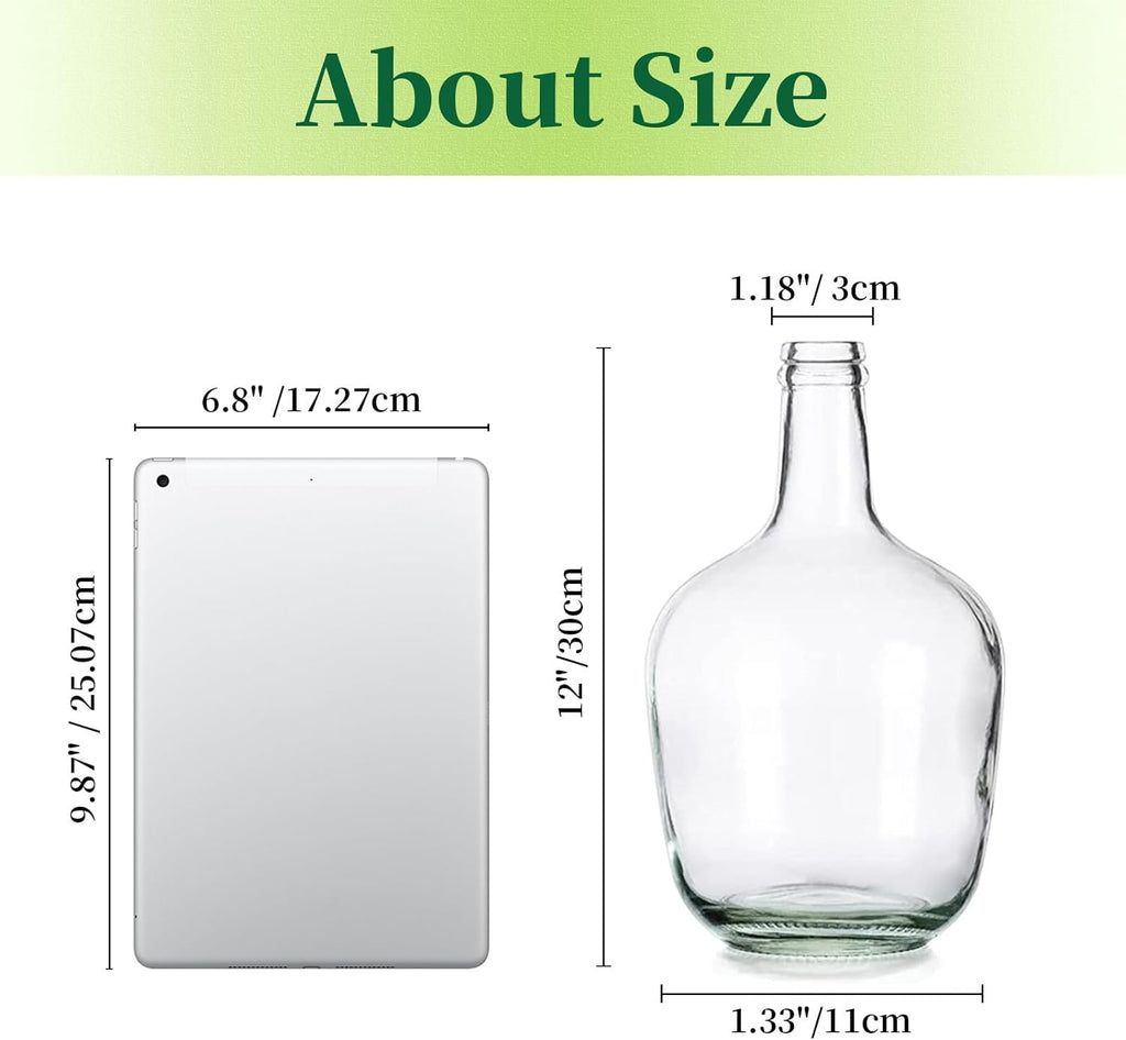 Hewory Large Glass Vase for Decor, 12in Clear Tall Farmhouse Decorative Floor Vase, Round Bubble Balloon Glass Jug Vases for Coffee Table Fireplace Mantel Entryway Living Room Bedroom Kitchen