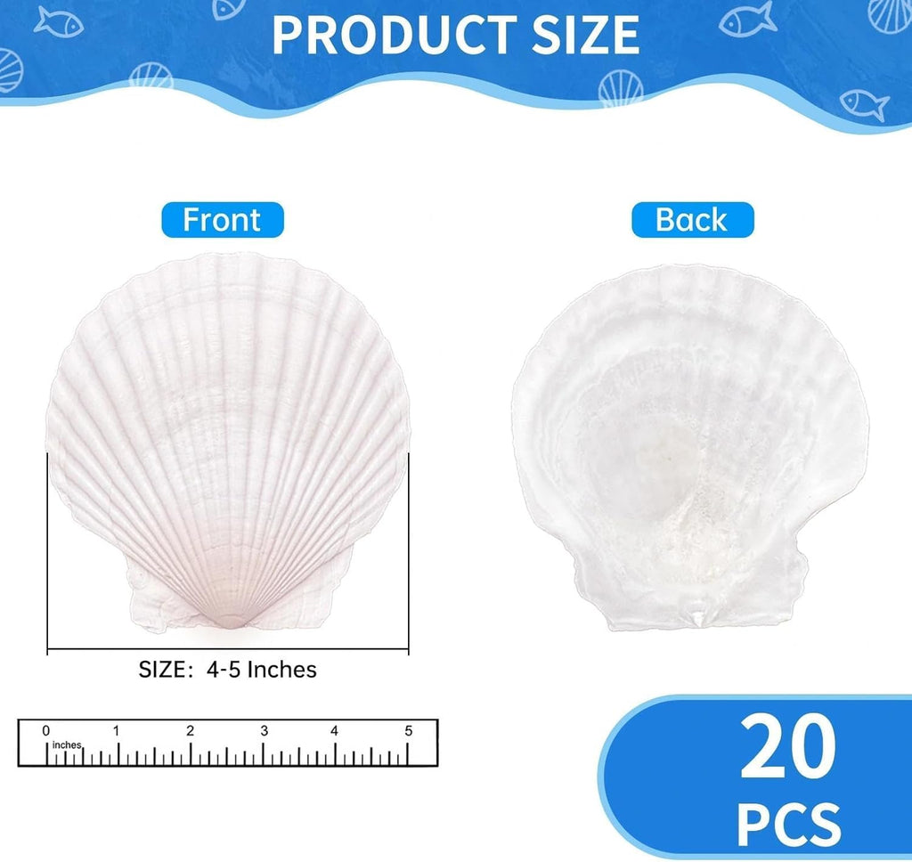 20PCS Large Scallop Shells for Crafts, 4-5 Inch Natural Sea Shells for Decorating, White Seashells Bulk for DIY Crafting, Painting, Baking, Ocean Themed Party Supplies & Decorations