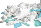 Nautical Crush Trading Sea Shells - White Real Mixed Beach Seashells (1lb) with Starfish & Sea Glass - Shells for Crafts - Ocean Decor - Beach Party Decorations - Seashell Decor - Large Shells Crafts