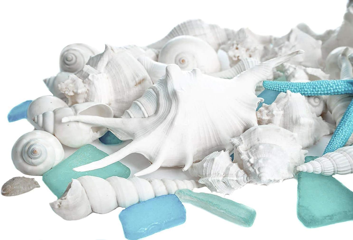 Nautical Crush Trading Sea Shells - White Real Mixed Beach Seashells (1lb) with Starfish & Sea Glass - Shells for Crafts - Ocean Decor - Beach Party Decorations - Seashell Decor - Large Shells Crafts
