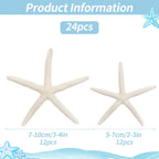24 PCS Starfish, Mixed Starfish 2" to 3" and 3" to 4" Natural Seashells Starfish White Starfish Ornaments Perfect for Wedding Beach Theme Party Home Decorations, DIY Crafts, Fish Tank