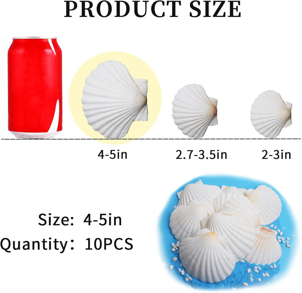 LUCKY BABY 4"-5" Scallop Shells for Crafts, 10 PCS Large Seashells for Decorating, White Natural Shells for Decoration