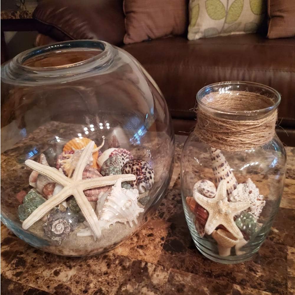 Jangostor 21 PCS Large Sea Shells Mixed Ocean Seashells, Various Sizes Natural Seashells Starfish Conch for Beach Theme Party, Home Decorations, DIY Crafts, Vase Filler Fish Tank Decorations