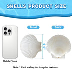 VMEECARL 10Pcs 4"-5" Large Scallop Shells for Crafts, Natural White Sea Shells for Crafts, DIY Painting, Beach Wedding Decorations – Bulk Sea Shells for Home Decor, Coastal Party, and Craft Projects