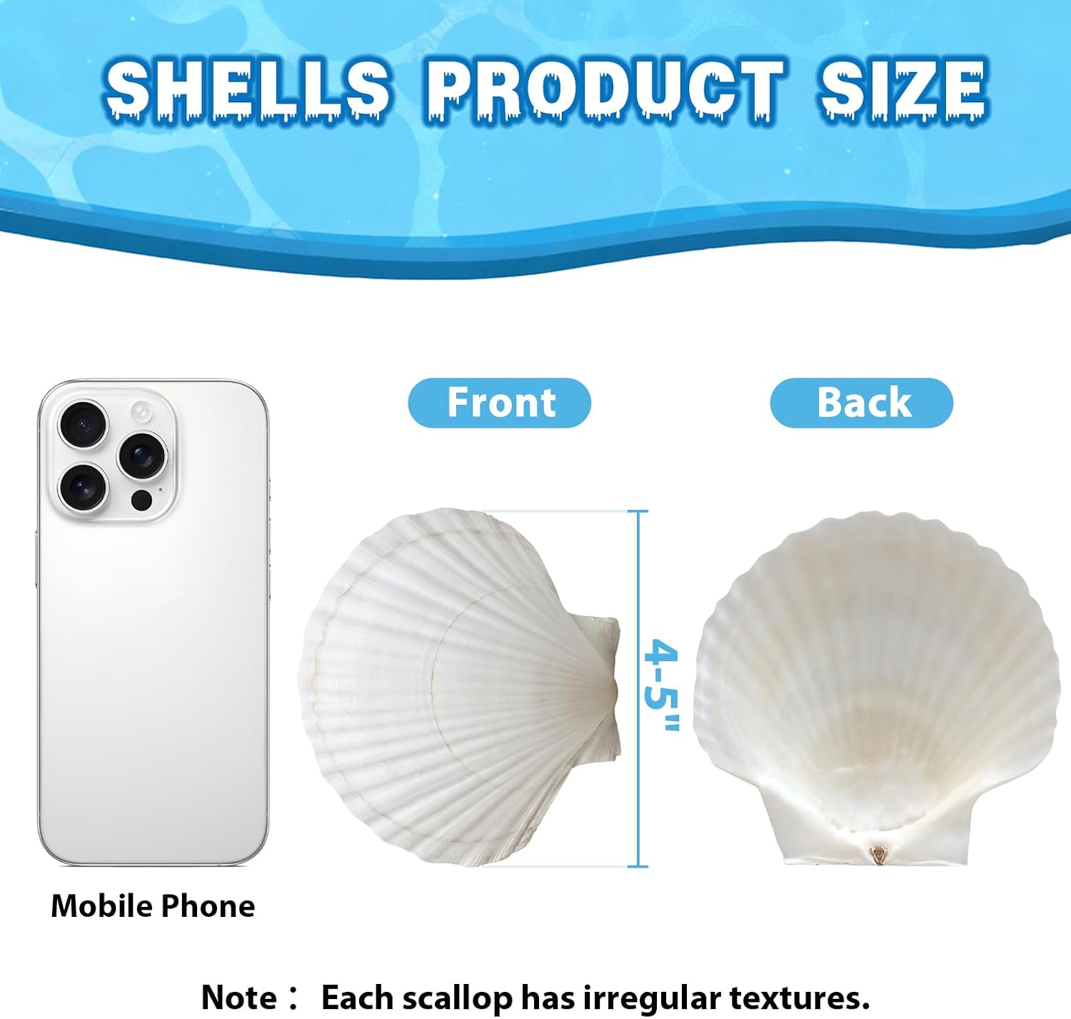 VMEECARL 10Pcs 4"-5" Large Scallop Shells for Crafts, Natural White Sea Shells for Crafts, DIY Painting, Beach Wedding Decorations – Bulk Sea Shells for Home Decor, Coastal Party, and Craft Projects