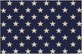 Patriotic Star Doormat Blue 4th of July Memorial Day Independence Day Decorative Front Door Mat Decor Neutral Farmhouse Floor Mats for Entryway Indoor Outdoor Outside Entrance, 32x20 Inch