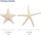 Jangostor 12 PCS Starfish 2-6 Inch Mixed Starfish Natural Seashells Starfish Star Fish Shells Decorations Perfect for Wedding Decor Beach Theme Party, Home Decorations, DIY Crafts, Fish Tank