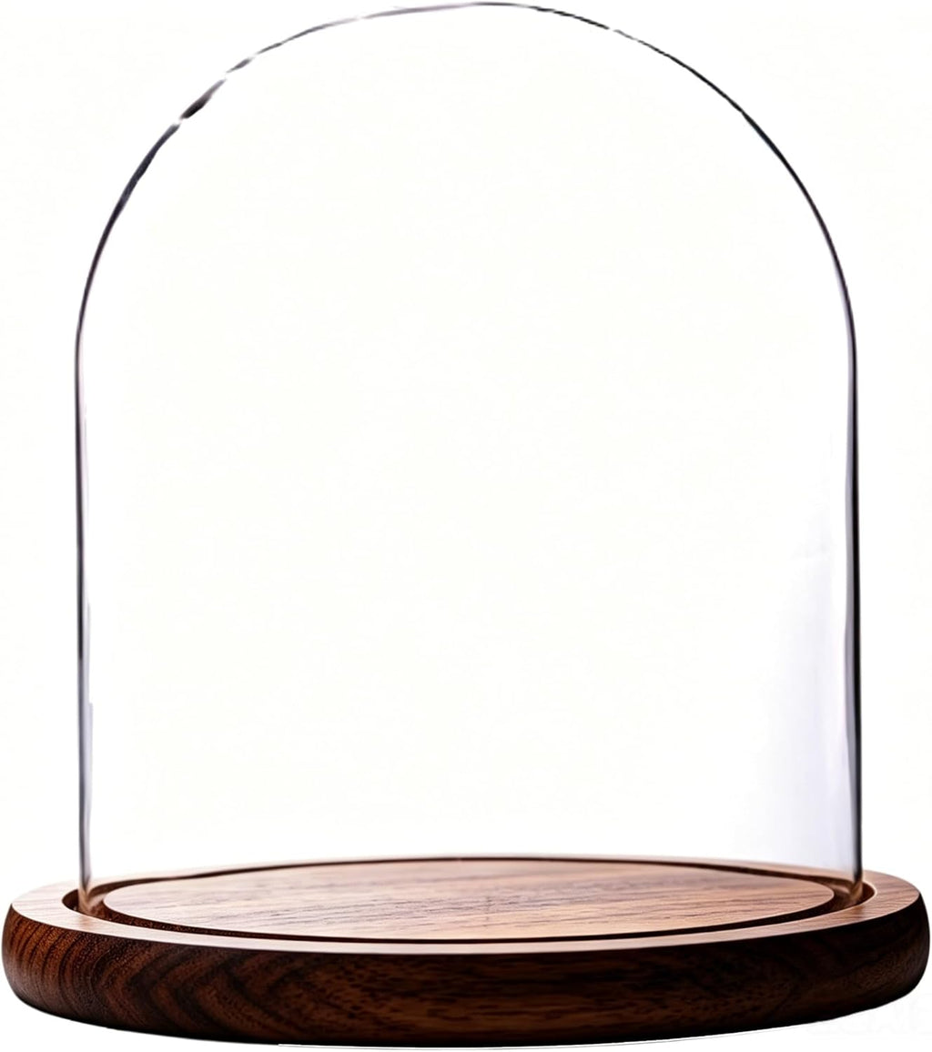Dome with Base Glass Cloche Glass Cloche Bell Jar Display Dome with Wooden Base 6" x 7" (6 * 7)(1 Pack) (Burnt Wood)