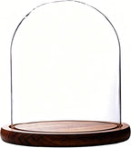 Dome with Base Glass Cloche Glass Cloche Bell Jar Display Dome with Wooden Base 6" x 7" (6 * 7)(1 Pack) (Burnt Wood)