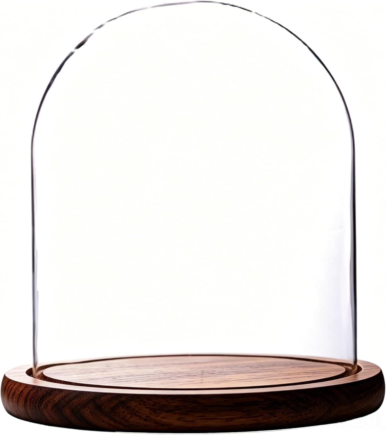 Dome with Base Glass Cloche Glass Cloche Bell Jar Display Dome with Wooden Base 6" x 7" (6 * 7)(1 Pack) (Burnt Wood)