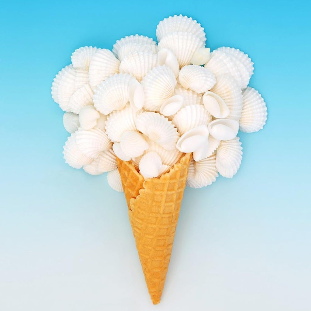 60 PCS Scallop Shells Natural Seashell, 1.5" to 2" White Scallop Shells Small Seashells for Crafts Wedding Decor Beach Theme Party, Fish Tank and Vase Filler