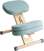 プロポーションチェア CH-N889CK NT/LGR Proportion Chair Focus Chair Posture Support with Supplementary Cushion Natural x Light Green