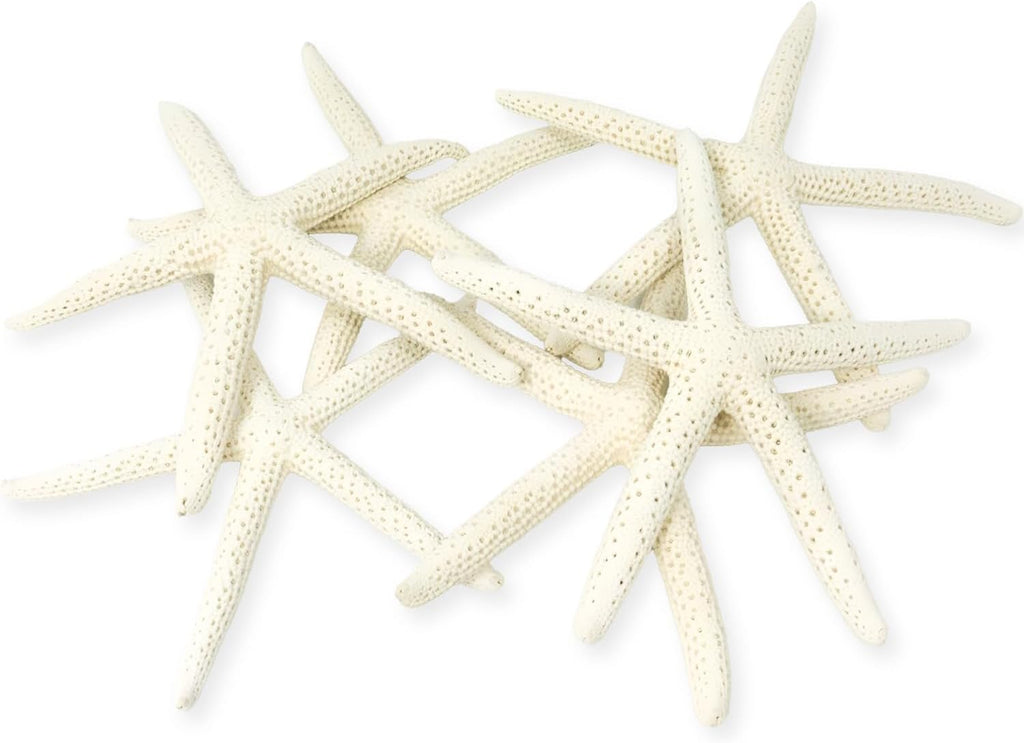 Starfish Decor - Star Fish for Craft - 6pk Real 3-4" White Sea Stars - Beach Wedding Decor - Coastal Party Decorations - Seashell Decor