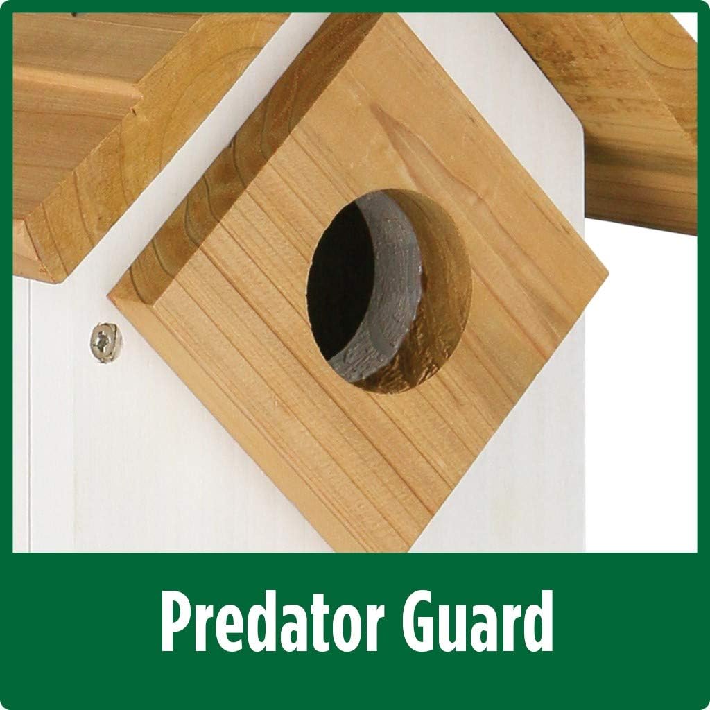 Wild Wings WWLH3-DECO Farmhouse Bluebird House, White