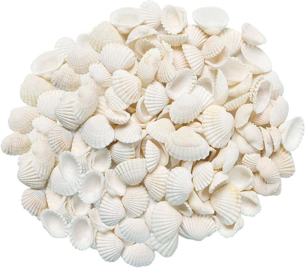 Small Tiny White Sea Shells Mini Clam Bulk Candle DIY Craft Shell Natural Seashells for Home Decor, Vase Filler,Beach Decorations Shells, 9oz