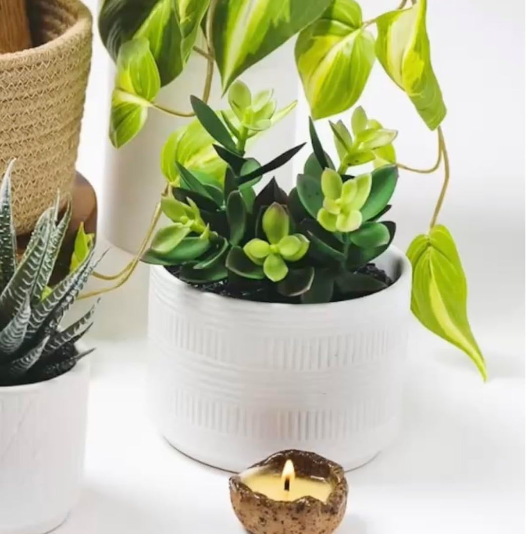 Kurrajong Farmhouse Artificial Plant in Matte White Ceramic Pot | 7.5" Fake Plant for Desk Decor | Artificial Succulent in Pot | Fake Succulent | Faux Plant Indoor | Faux Plant for Shelf Decor