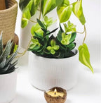 Kurrajong Farmhouse Artificial Plant in Matte White Ceramic Pot | 7.5" Fake Plant for Desk Decor | Artificial Succulent in Pot | Fake Succulent | Faux Plant Indoor | Faux Plant for Shelf Decor