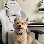 KORNOX Ergonomic Gaming Chair Fabric for Adults,Office Chair High Back,Game Chair Cloth Height Adjustable for Teens,Game Chair Racing with Headrest and Lumbar Support for Girl,White and Purple