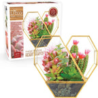 D'Eco Glass Heart Centerpiece (8x8x2.5)- Tabletop Planter Terrarium - Spring Home Decor & Wedding Letterbox - Fill with Succulents, Cacti, Air Plants, Moss, Flowers for Plant Lovers