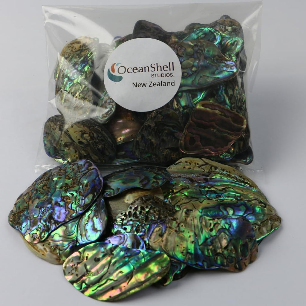 Abalone (Pāua) Shell Pieces-7.05oz Pack-for Crafts, Jewelry Making, Resin Art, Inlay, Home Decorations, Fishtank Supplies, DIY Projects - Satin, Medium Medium Size 1"- 1.58" 7.05oz (200grams)