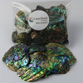 Abalone (Pāua) Shell Pieces-7.05oz Pack-for Crafts, Jewelry Making, Resin Art, Inlay, Home Decorations, Fishtank Supplies, DIY Projects - Satin, Medium Medium Size 1"- 1.58" 7.05oz (200grams)