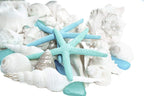 Nautical Crush Trading Sea Shells - White Real Mixed Beach Seashells (1lb) with Starfish & Sea Glass - Shells for Crafts - Ocean Decor - Beach Party Decorations - Seashell Decor - Large Shells Crafts