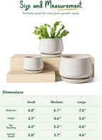LE TAUCI Plant Pots, 4.1+5.1+6.5 inch, Set of 3, Ceramic Planters with Drainage Hole and Saucer, Indoor Flower Pot with Hole Mesh Pad, Gifts for Mom, Reactive Glaze Beige