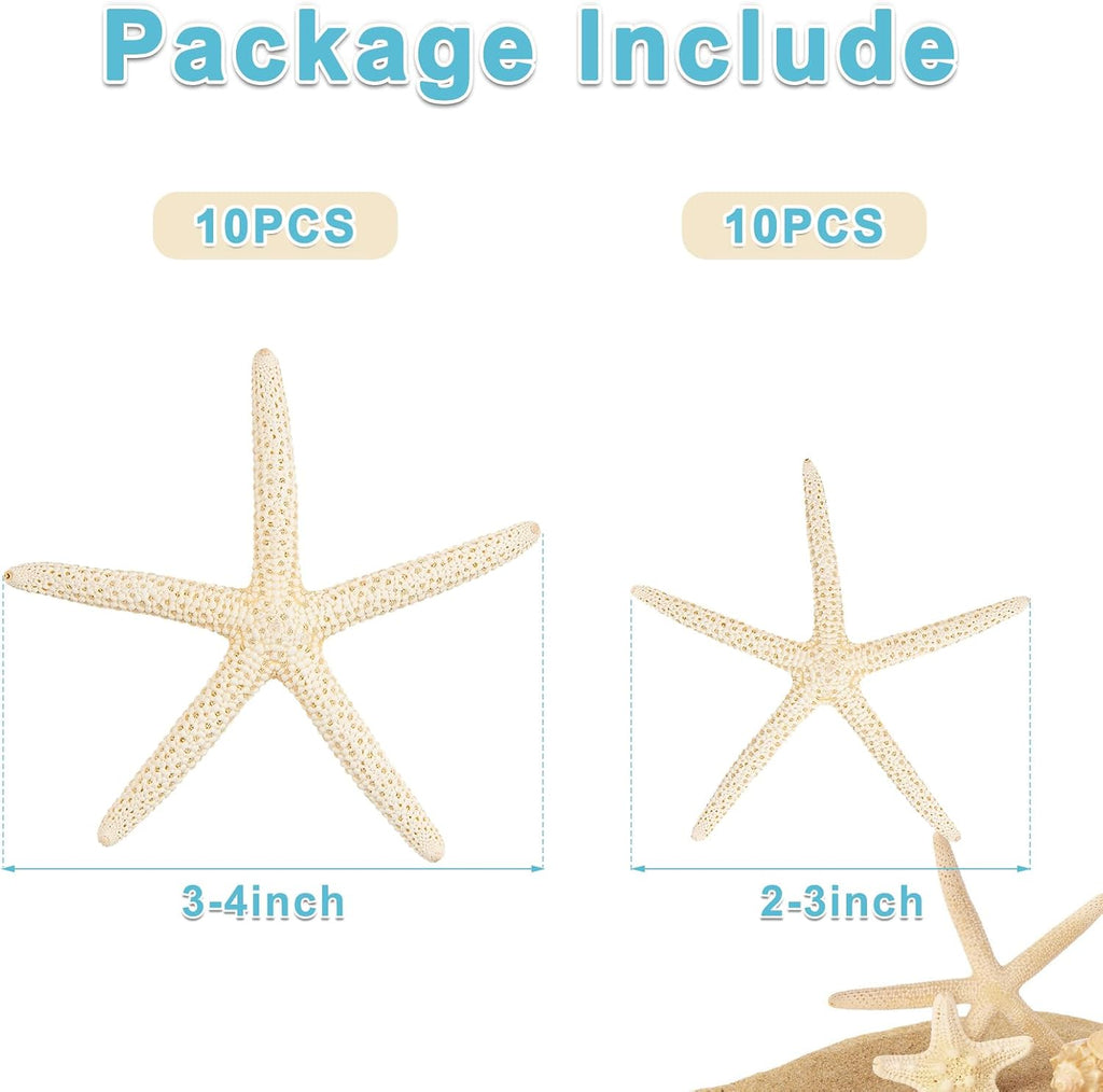 20 PCS Small Starfish for Crafts 2" to 4" Natural Starfish Decor Bulk, for Wedding Beach Theme Decor Home DIY Crafts Decor Christmas Tree Starfish Ornaments