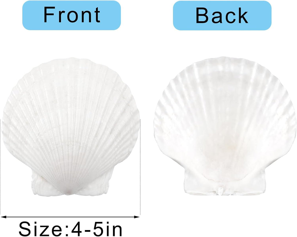 10PCS Large Natural Scallop Shells, 4''-5'' Large Shell for Crafts, DIY Painting, Baking and Beach Wedding Decorations - Large White Seashells Bulk for Ocean Themed Parties and Home Decor