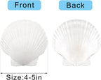 10PCS Large Natural Scallop Shells, 4''-5'' Large Shell for Crafts, DIY Painting, Baking and Beach Wedding Decorations - Large White Seashells Bulk for Ocean Themed Parties and Home Decor