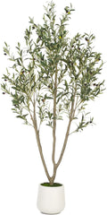 VIVATREES Olive Trees Artificial Indoor, 6FT Tall Faux Olive Tree with White Tall Planter, Artificial Plants with Natural Wood Trunk and Lifelike Fruits for Home Office Decor