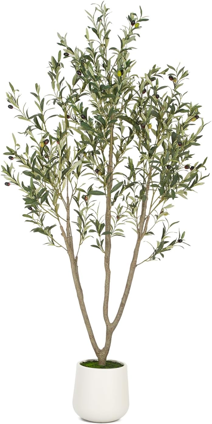 VIVATREES Olive Trees Artificial Indoor, 6FT Tall Faux Olive Tree with White Tall Planter, Artificial Plants with Natural Wood Trunk and Lifelike Fruits for Home Office Decor