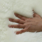 Genuine Sheepskin Chair Pad 2 Pack Anti Slip Design Natural Wool Soft and Comfortable Suitable for Home Living Room Sofa Bedroom Dining Room(18x18 Inch,Cream White)