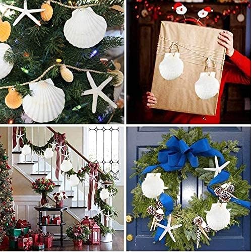 SEAJIAYI 30 PCS Scallop Shells 2-3 Inch Natural White Sea Shells from Sea Beach for DIY Craft Home Décor(6-8 cm)