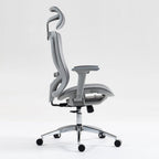 Ergonomic High Back Mesh Office Chair with Adjustable Lumbar Support and Headrest for Comfortable Workdays - Breathable, 3D Armrests, Reclining Seat - Ideal for Home and Office,Grey