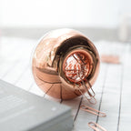 NatSumeBasics Rose Gold Paper Clip Holder Magnetic Paper Clips Dispenser with 100pcs Paperclips for Desk Office School Home Organizers Accessories Gift Idea