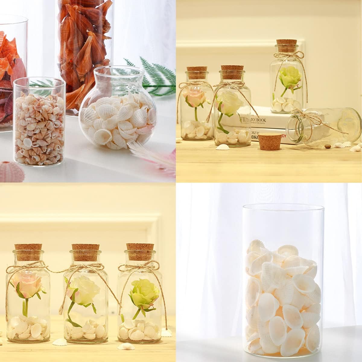 Small Tiny White Sea Shells Mini Clam Bulk Candle DIY Craft Shell Natural Seashells for Home Decor, Vase Filler,Beach Decorations Shells, 9oz