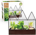 D'Eco Glass Castle Centerpiece (10x9x5)- Tabletop Planter Terrarium- Spring Easter Home Decor & Wedding Letterbox - Fill w Succulents, Moss, Colorful Eggs, Bunny Rabbits, Grass- Gift for Plant Lovers