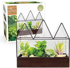 D'Eco Glass Castle Centerpiece (10x9x5)- Tabletop Planter Terrarium- Spring Easter Home Decor & Wedding Letterbox - Fill w Succulents, Moss, Colorful Eggs, Bunny Rabbits, Grass- Gift for Plant Lovers