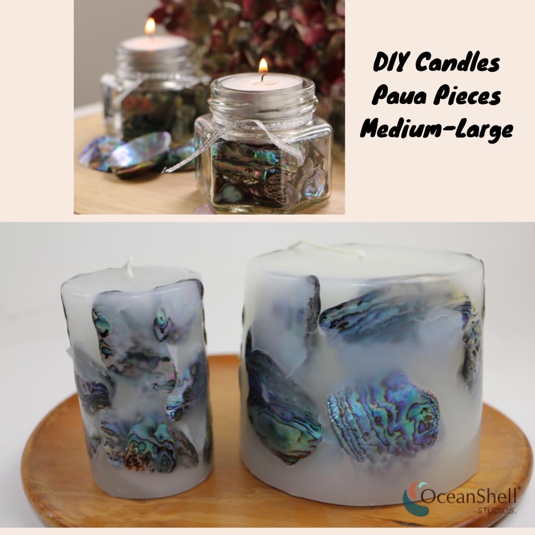 Abalone (Pāua) Shell Pieces-7.05oz Pack-for Crafts, Jewelry Making, Resin Art, Inlay, Home Decorations, Fishtank Supplies, DIY Projects - Satin, Medium Medium Size 1"- 1.58" 7.05oz (200grams)