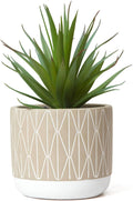 Kurrajong Farmhouse Artificial Plant in Pot - 8" high Small Faux Plant for Desk, Bathroom, Shelf & Coffee Table - Realistic Indoor Plant for Home Decor