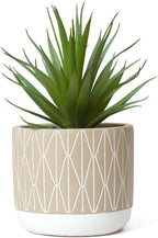 Kurrajong Farmhouse Artificial Plant in Pot - 8" high Small Faux Plant for Desk, Bathroom, Shelf & Coffee Table - Realistic Indoor Plant for Home Decor