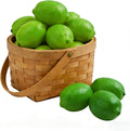 12 Pcs Artificial Lemons and Limes Fake Lemons Limes Set Realistic Fake Fruit for Home Kitchen Decor Green Lemon Mixed Set for Photography Props Table Centerpieces Party Decoration