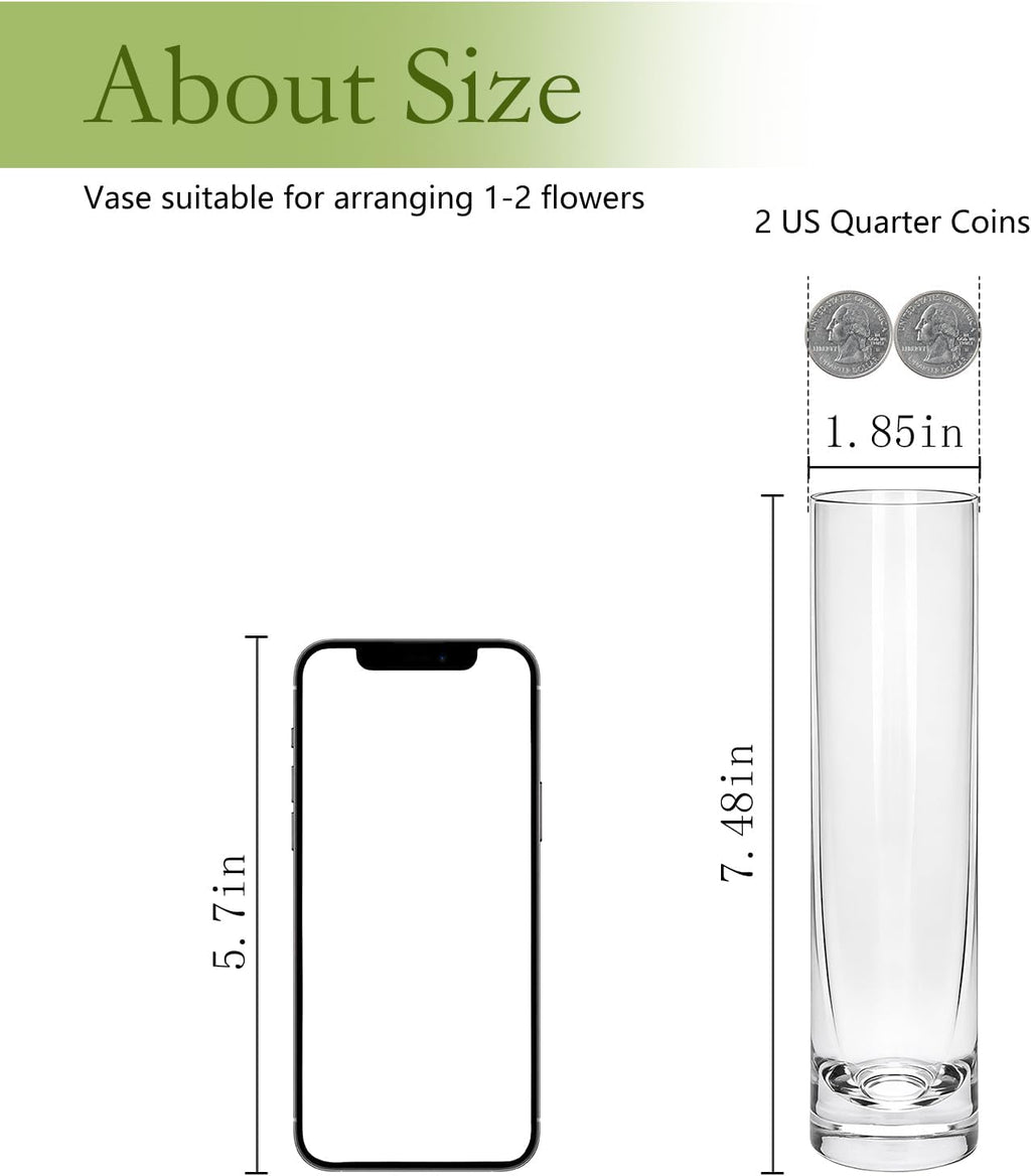 7.48 inch Tall Vases for Flowers,12PCS Glass Cylinder Vase, Single Rose Bud Vase for Event Decor,Bud Vases in Bulk for Wedding Centerpieces,Home Aesthetic Desk Decor, Party Decorations