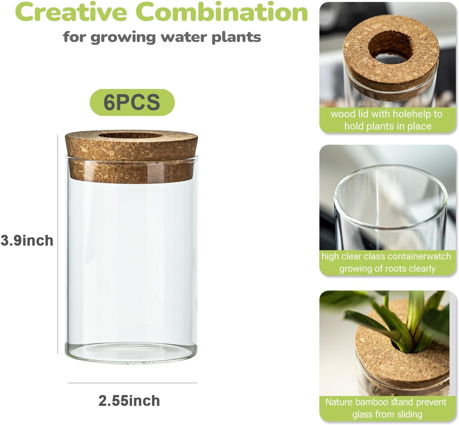 Glass Plant Propagation Station Set of 6, Modern Desktop Flower Vase for Succulent Cuttings, Home Office Decoration, Ideal Housewarming Gift for Living Room, Bedroom